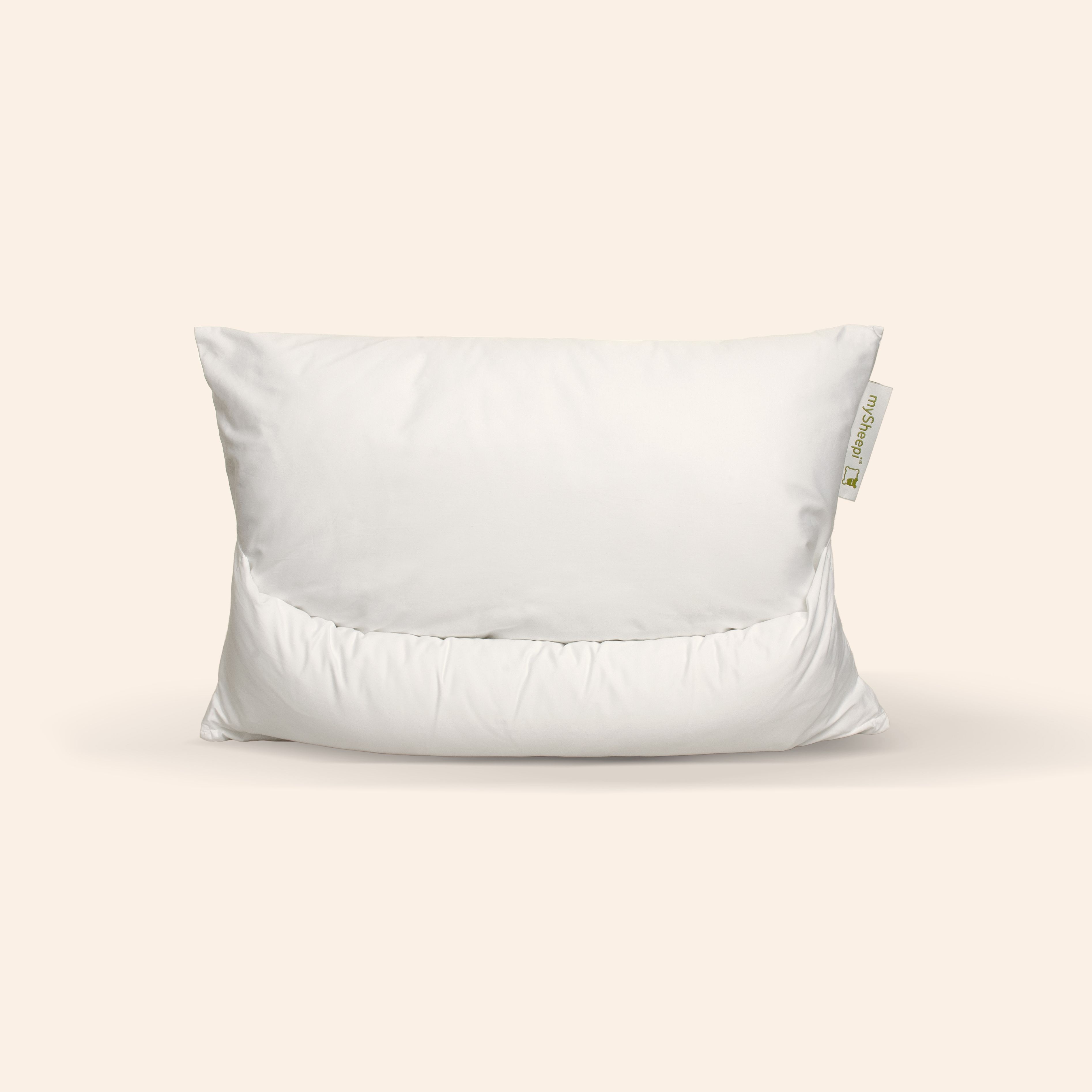 Description of your image